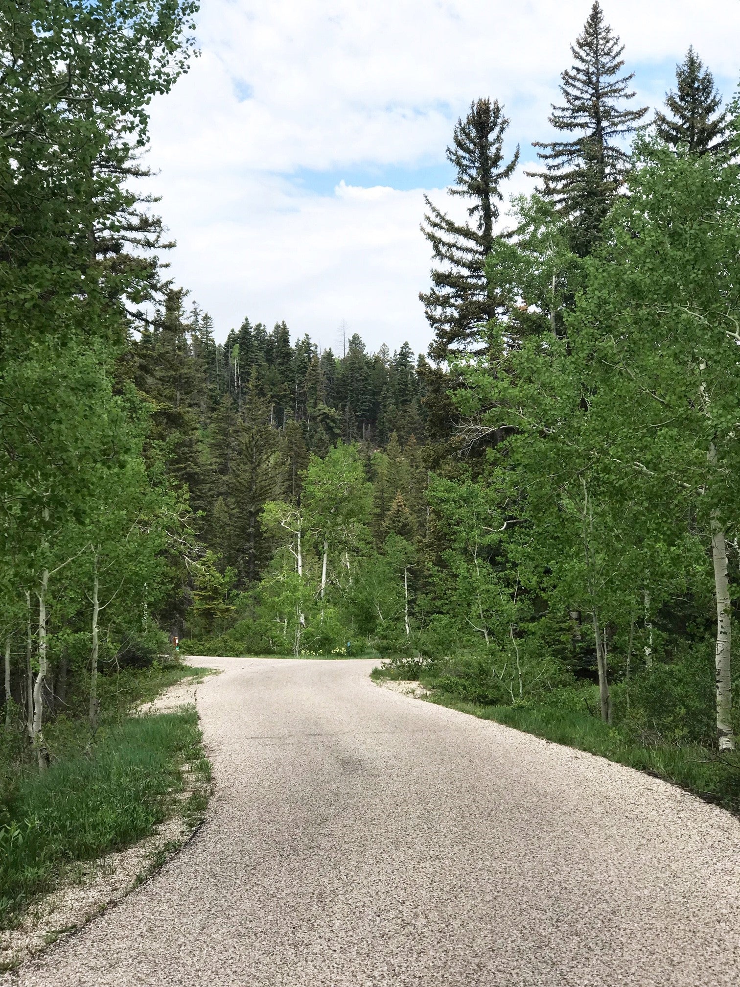 greige design cedar creek camping utah summer