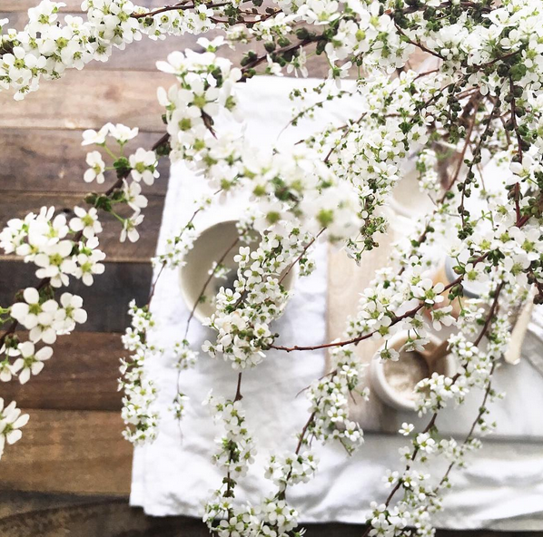 Instagram love: Giosmama2626