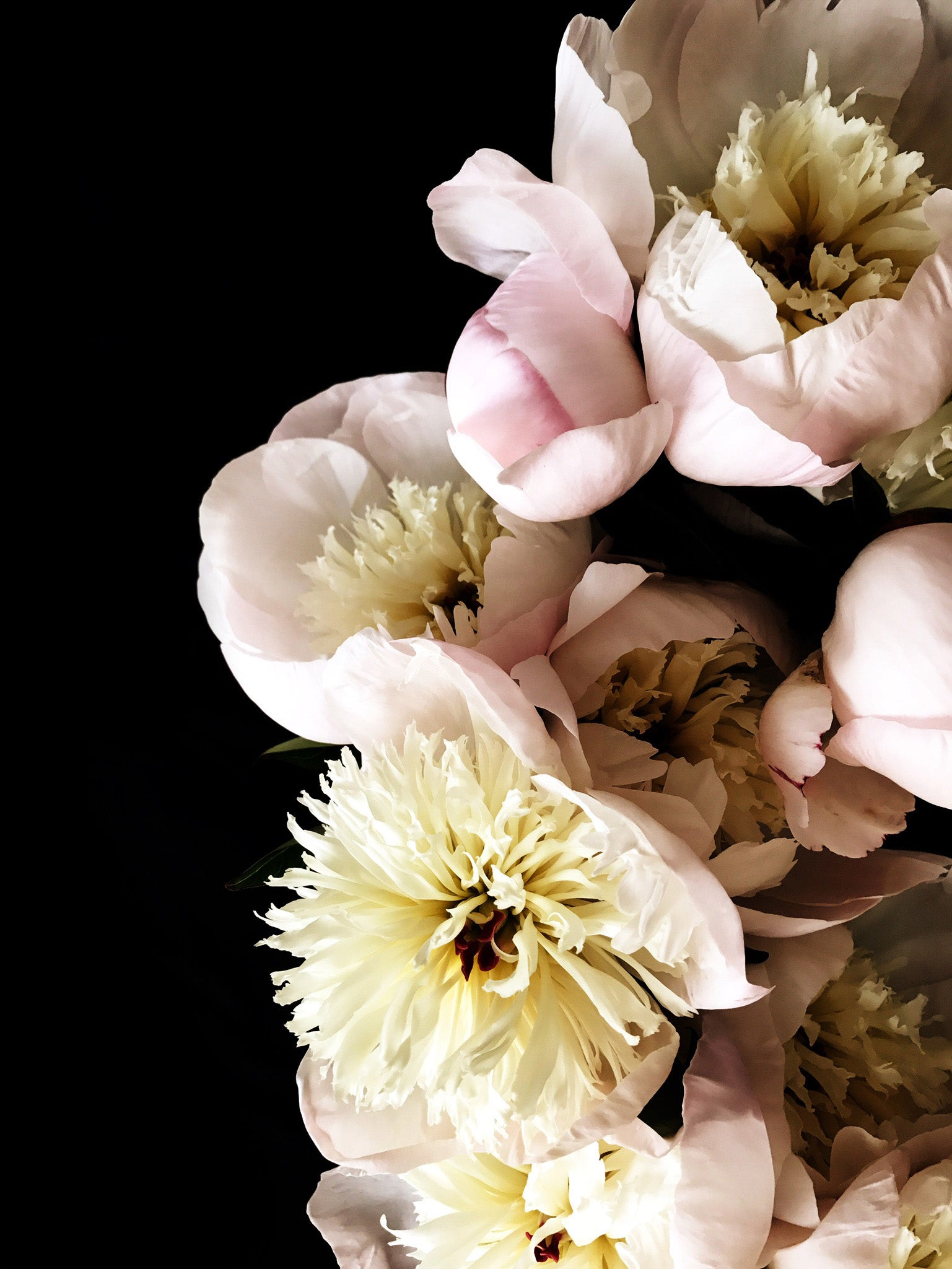 Gift Guide: Pretty.... Girlie