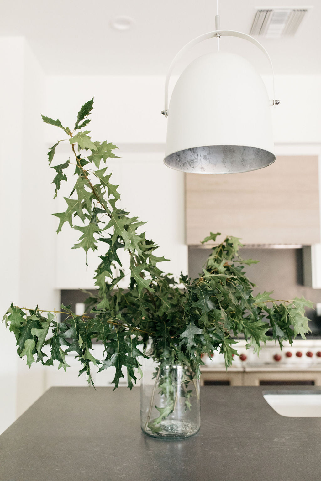 greige design shop + interiors Albion project Point Loma California interior design kitchen design white kitchen with black countertops
