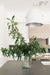 greige design shop + interiors Albion project Point Loma California interior design kitchen design white kitchen with black countertops