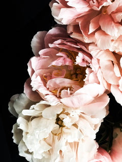 Peony 68 - greige design