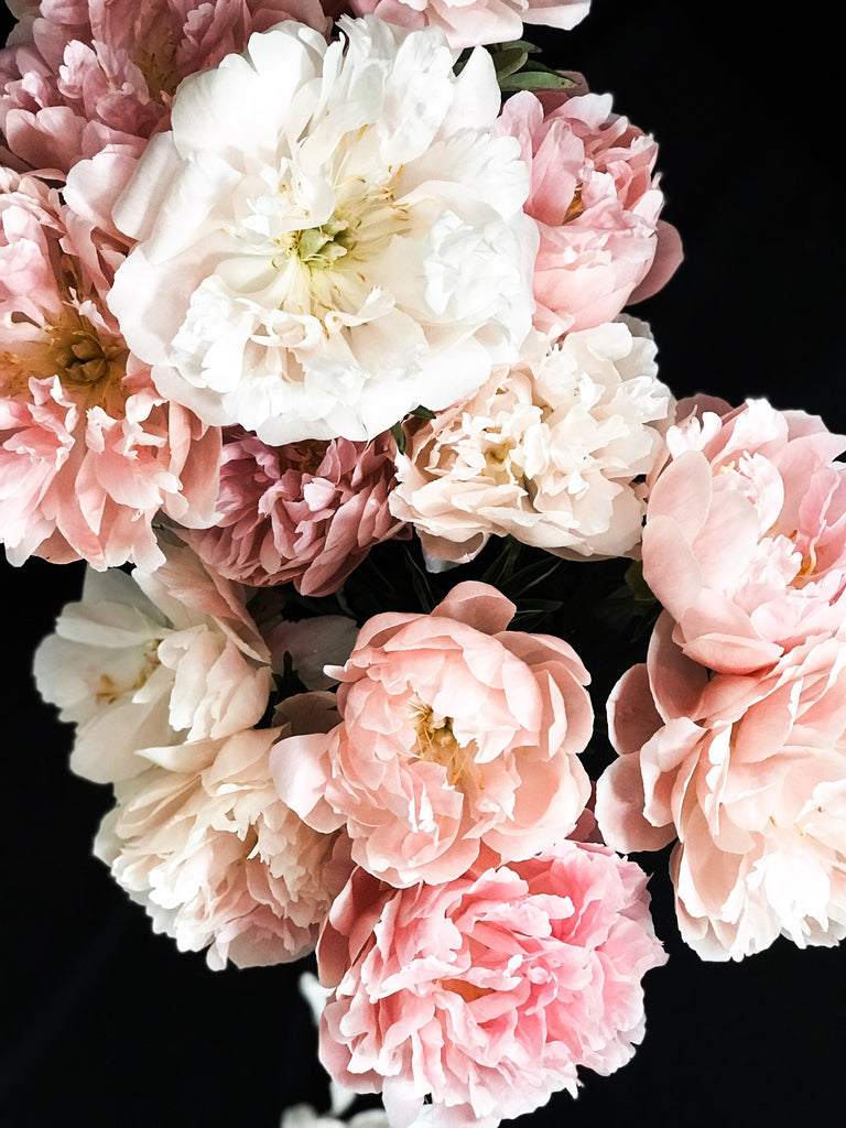 Peony 69 - greige design